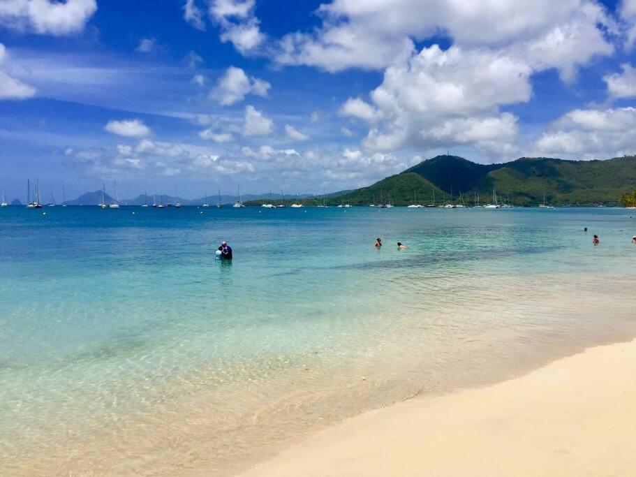 Hamo Cosy Piscine Proche Plage サンタンヌ エクステリア 写真