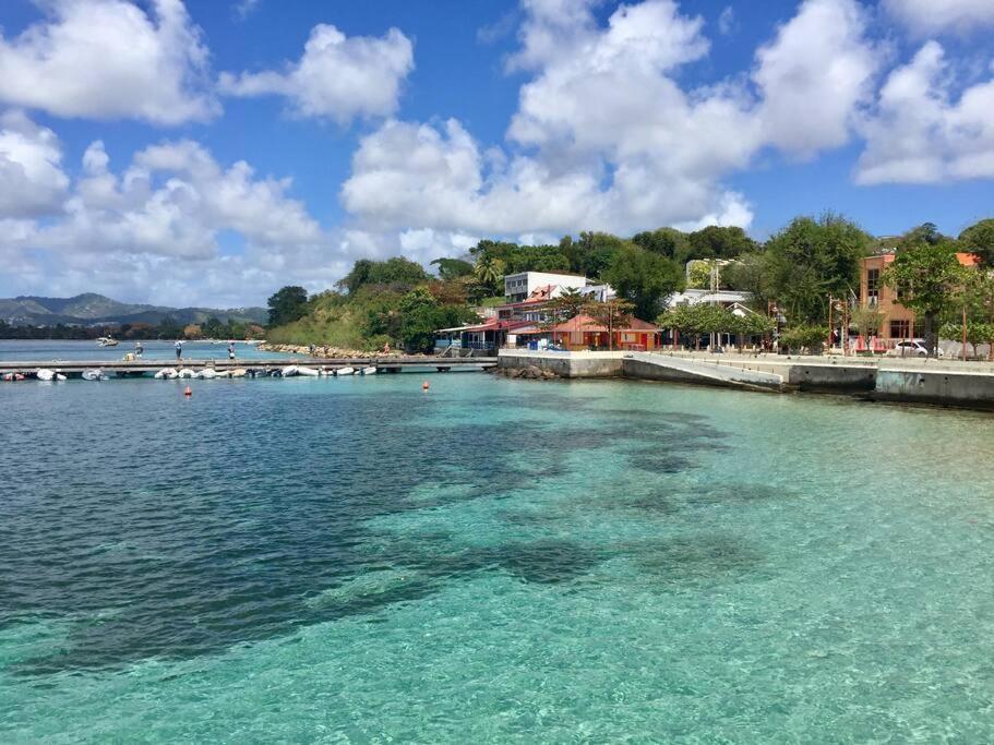 Hamo Cosy Piscine Proche Plage サンタンヌ エクステリア 写真