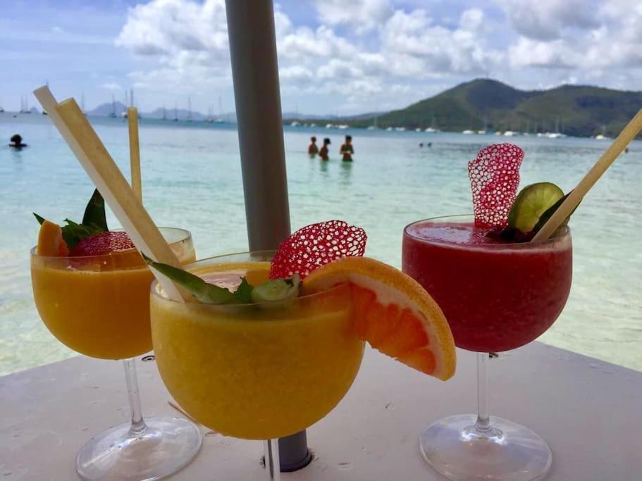 Hamo Cosy Piscine Proche Plage サンタンヌ エクステリア 写真