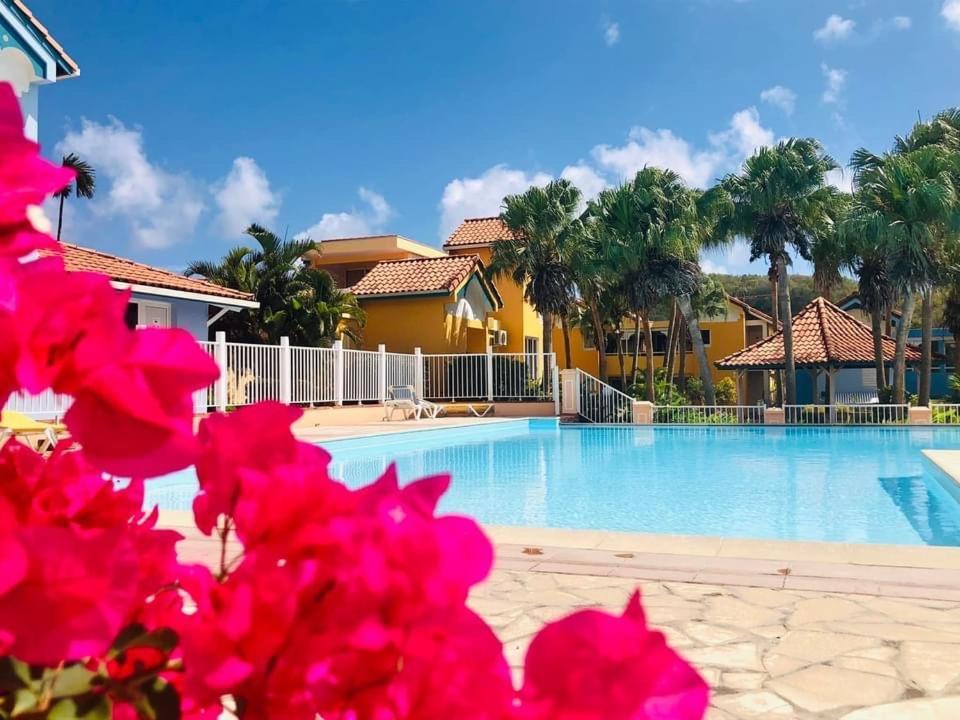 Hamo Cosy Piscine Proche Plage サンタンヌ エクステリア 写真